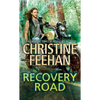 Recovery Road - Mass Market Paperbound