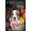 Ripley: Fire Station Five: Dogs with a Purpose - Hardcover