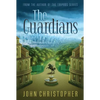 The Guardians - Paperback