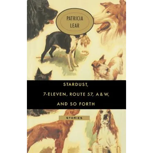 Stardust, 7-Eleven, Route 57, A&W, and So Forth: Stories - Paperback