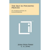 The Self In Psychotic Process: Its Symbolization In Schizophrenia - Hardcover