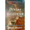 Divine Encounter - Paperback