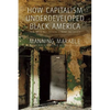 How Capitalism Underdeveloped Black America: Problems in Race, Political Economy, and Society - Paperback