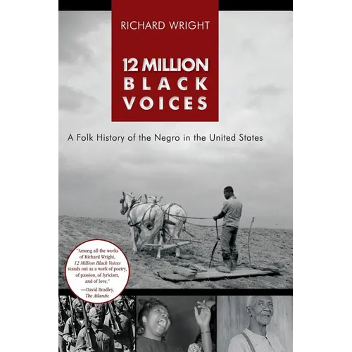 12 Million Black Voices - Hardcover