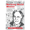 Working World Mentor: A Comprehensive Guide for Students and Young Adults - Hardcover