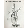 The Grey Revolution - Paperback
