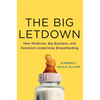 The Big Letdown: How Medicine, Big Business, and Feminism Undermine Breastfeeding - Hardcover