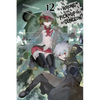 Is It Wrong to Try to Pick Up Girls in a Dungeon?, Vol. 12 (Light Novel): Volume 12 - Paperback