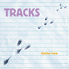 Tracks - Board Book