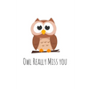 Owl Really Miss you: Perfect goodbye gift for coworker that is leaving / going away gift for your co worker, boss, manager, employee. - Paperback