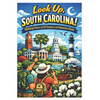 Look Up, South Carolina!: Walking Tours of 25 Towns in the Palmetto State - Paperback