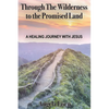 Through The Wilderness to the Promised Land: A healing journey with Jesus - Paperback