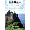 Irish History: Beyond Shamrocks & Shillelaghs - Paperback