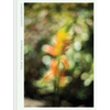 Terri Weifenbach: Cloud Physics - Hardcover