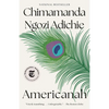 Americanah - Paperback