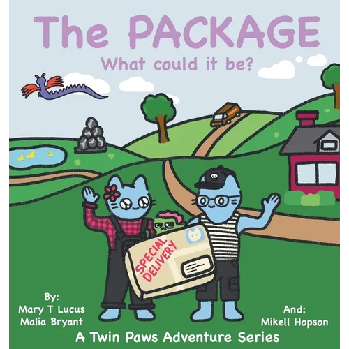 The Package: What could it be? - Hardcover