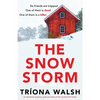The Snowstorm: An absolutely gripping, pulse-pounding thriller packed with twists - Paperback