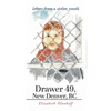 Drawer 49, New Denver, BC: letters from a stolen youth - Paperback