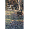 My Exciting Whitetail Hunts - Paperback