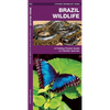 Brazil Wildlife: A Folding Pocket Guide to Familiar Animals - Paperback