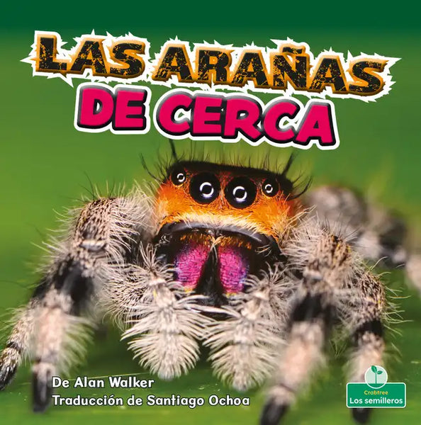 Las Arañas de Cerca (Spiders Up Close) - Paperback