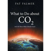 What to Do About Co2: And All Those Other Ghastly Gases - Hardcover