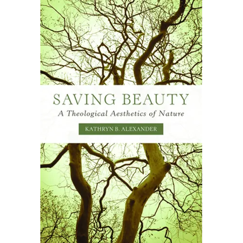 Saving Beauty: A Theological Aesthetics of Nature - Paperback