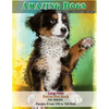 Amazing Dogs - Large Print Dot-to-Dot Book for Adults: Puzzles From 150 to 760 Dots - Paperback