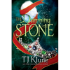 The Damning Stone - Paperback