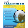 Math Mammoth Grade 1 Tests and Cumulative Reviews - Paperback