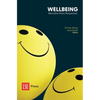 Wellbeing: Alternative Policy Perspectives - Paperback