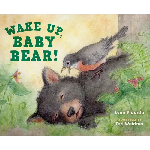 Wake Up, Baby Bear! - Hardcover