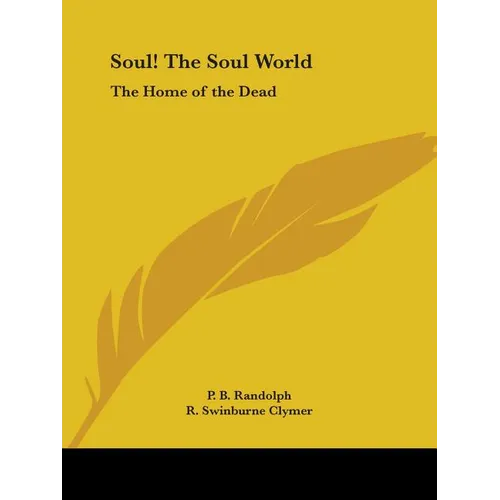 Soul! The Soul World: The Home of the Dead - Paperback