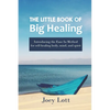 The Little Book of Big Healing: Introducing the Ease In Method for self-healing body, mind, and spirit - Paperback