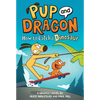 How to Catch Graphic Novels: How to Catch a Dinosaur - Hardcover