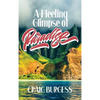 A Fleeting Glimpse of Paradise - Hardcover