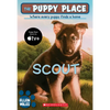 The Puppy Place #7: Scout: Volume 7 - Paperback