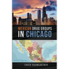 Mexican Drug Groups in Chicago - Paperback