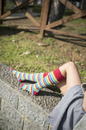 Women's Multiline Stripe Knee High Socks Set