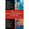 Feminist New Testament Studies: Global and Future Perspectives - Hardcover