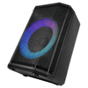 IQ Sound 8" Bluetooth Speaker