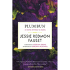 Plum Bun: A Novel Without a Moral - Paperback