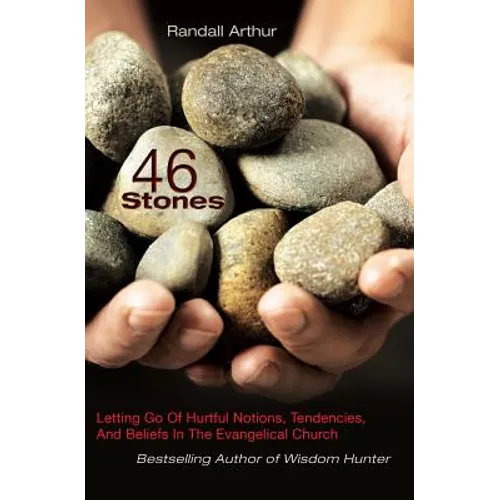 46 Stones: Letting Go Of Hurtful Notions, Tendencies, And Beliefs In The Evangelical Church - Paperback