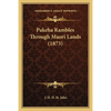 Pakeha Rambles Through Maori Lands (1873) - Paperback