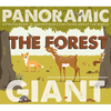 The Forest: A Poster Book to Understand Everything about the World - Hardcover