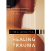 Healing Trauma: A Pioneering Program for Restoring the Wisdom of Your Body - Paperback
