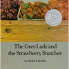 The Grey Lady and the Strawberry Snatcher - Hardcover