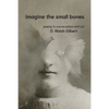 imagine the small bones - Paperback