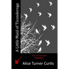 A Little Maid of Ticonderoga - Paperback