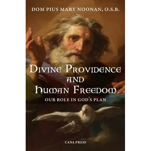 Divine Providence And Human Freedom: Our Role In God's Plan - Paperback